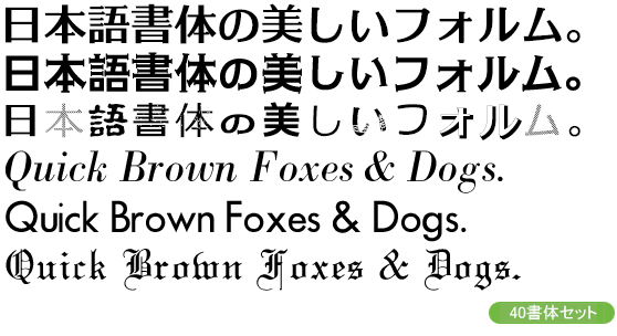 ワンランク上のクリエイティブが作れる和文欧文40書体スターターセット