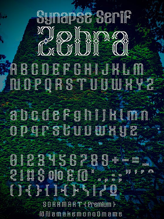 Synapse Serif Zebra