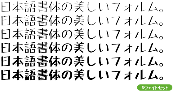 タカボーイ21ファミリー (L～H 6ウェイトセット)