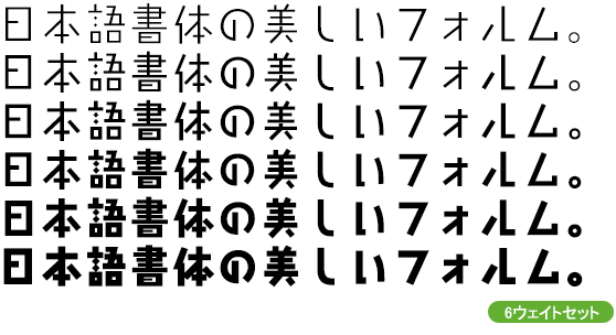 タカニューライン角 ファミリー (L～H 6ウェイトセット)