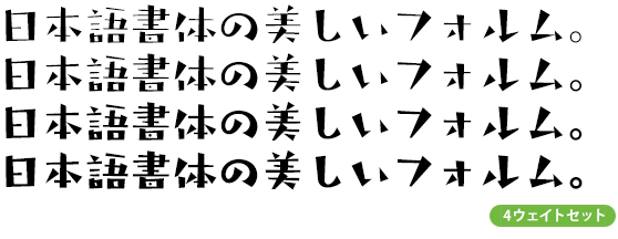 タカギンザ角 ファミリー (R～B 4ウェイトセット)