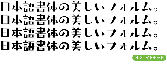 タカトーキョー角 ファミリー (R～B 4ウェイトセット)