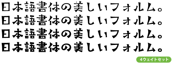 タカサッポロ角  ファミリー (R～B 4ウェイトセット)