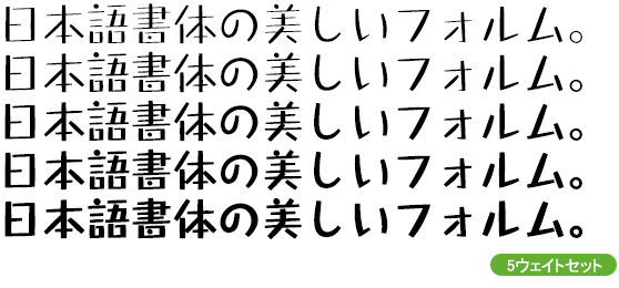 タカハンド21角 ファミリー (L～B 5ウェイトセット)