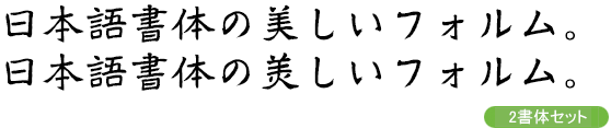 イワタ鄭道昭 / イワタ鄭道昭北魏字様 StdN R