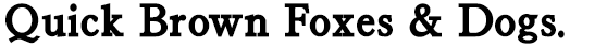 オールマイティな欧文 AF22CENTURYB