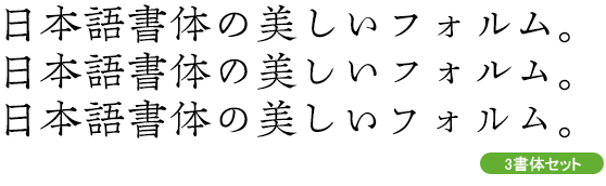 中世安竹体 方広M Combination 3