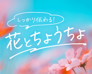 おすすめフォント 花とちょうちょ