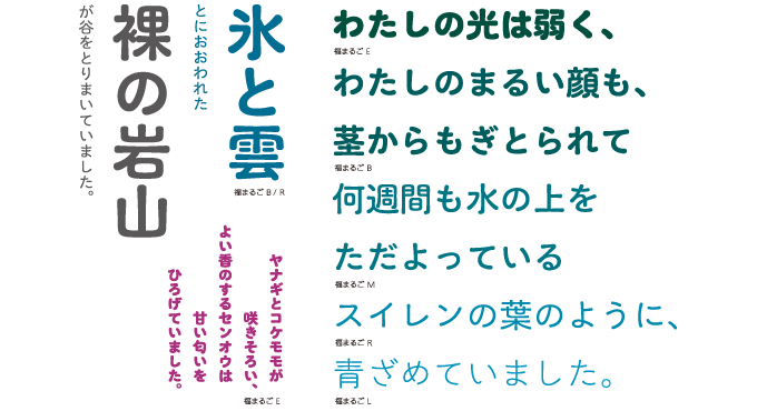 イワタ福まるご 使用例