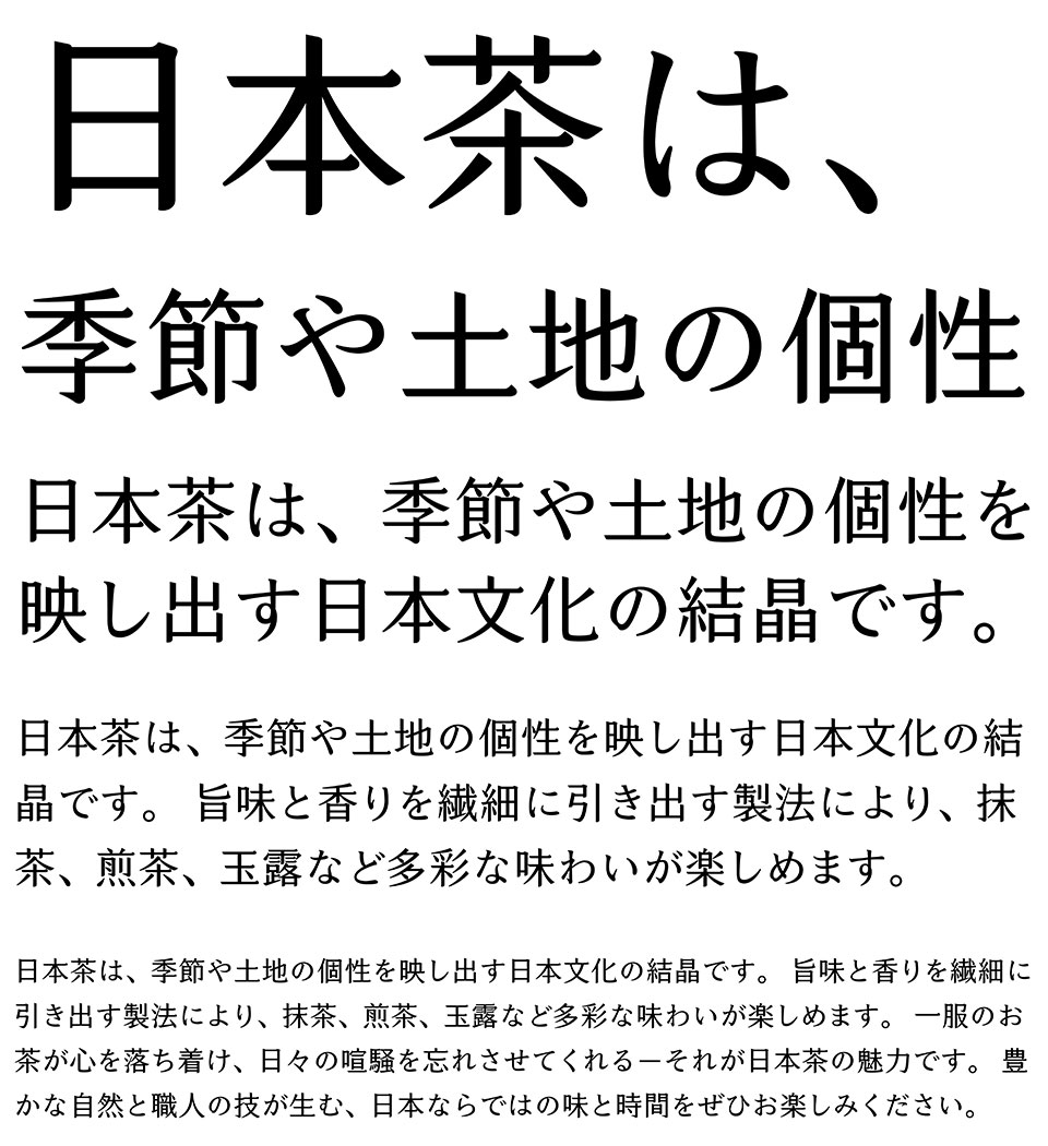 凝明朝体 文字組サンプル