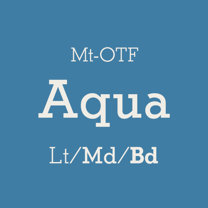 モトヤ Mt-OTF Aqua