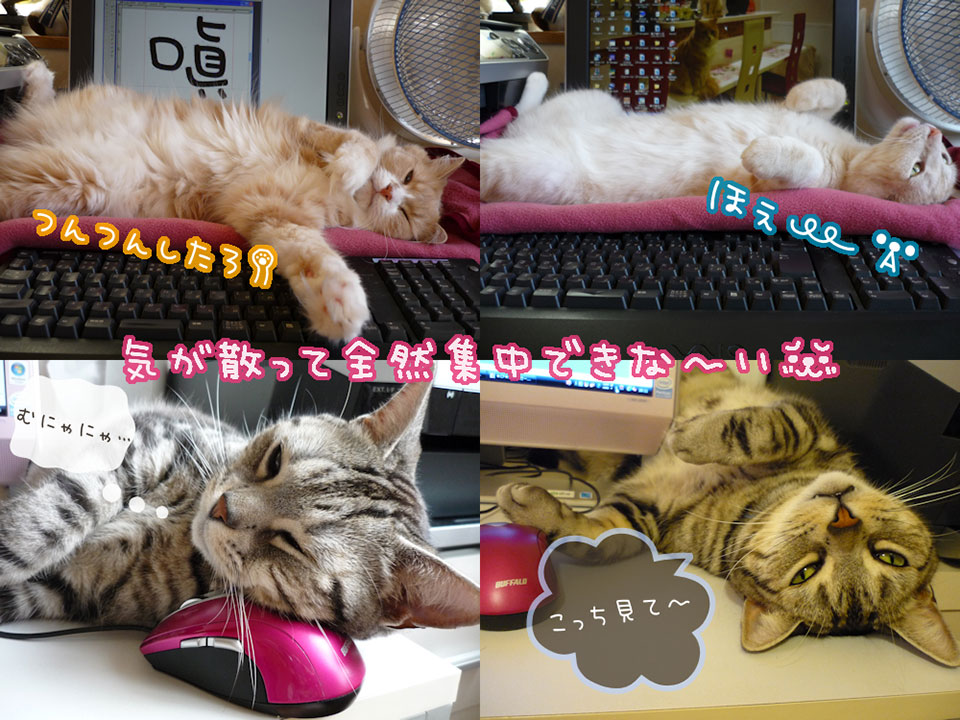 ゆるねこフォントづくりを時に邪魔する猫達