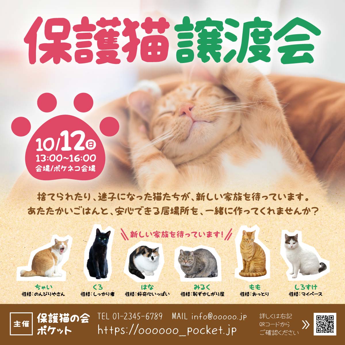 ねこのけフォント 夏 冬 手書きフォント 使用例 チラシ 使用例画像