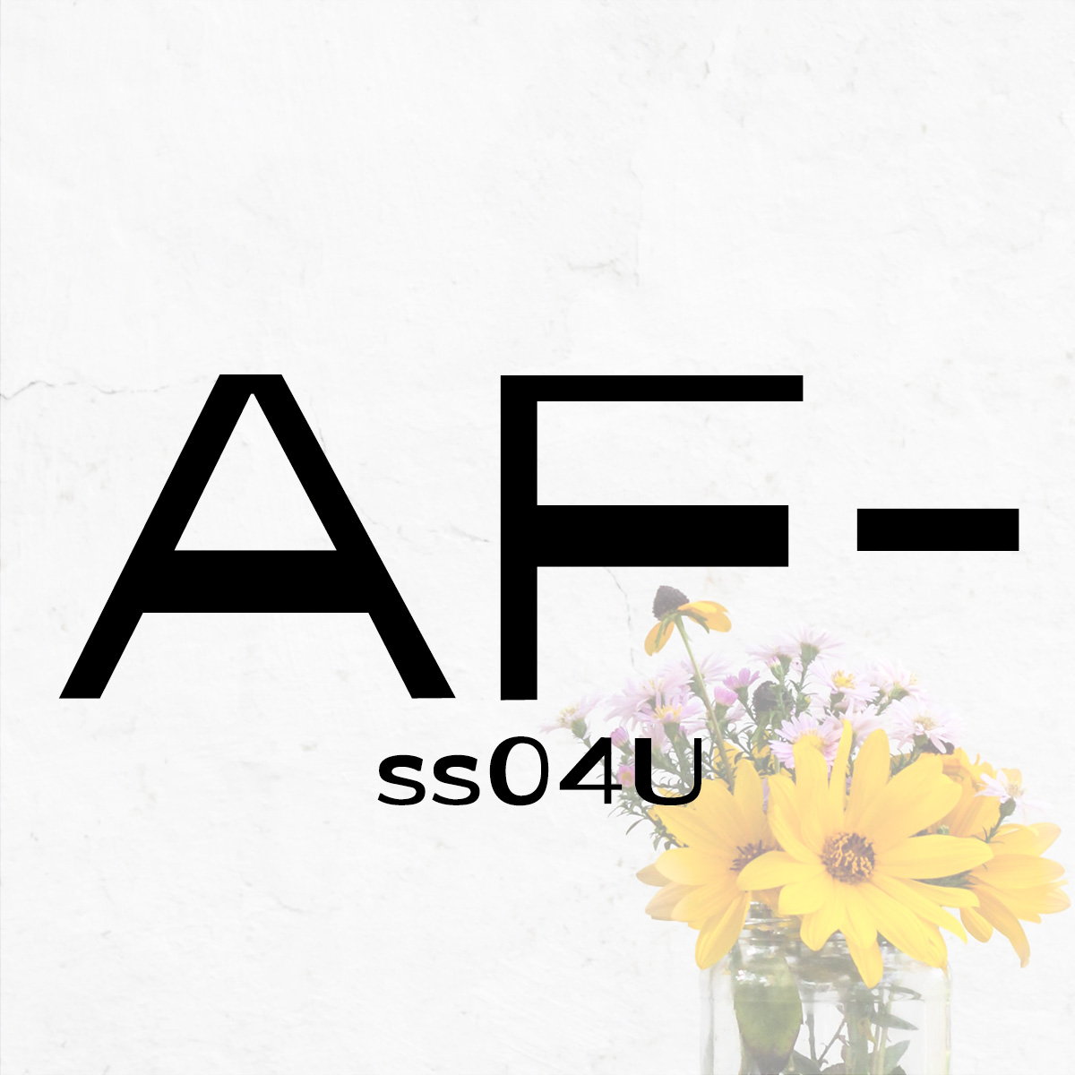 AF-ss04U