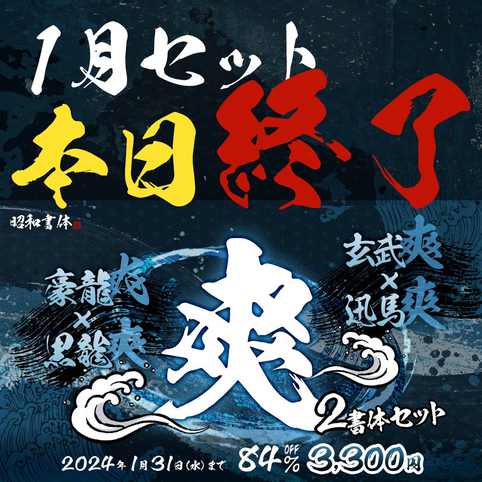 爽シリーズ84%OFF 3,300円 1月