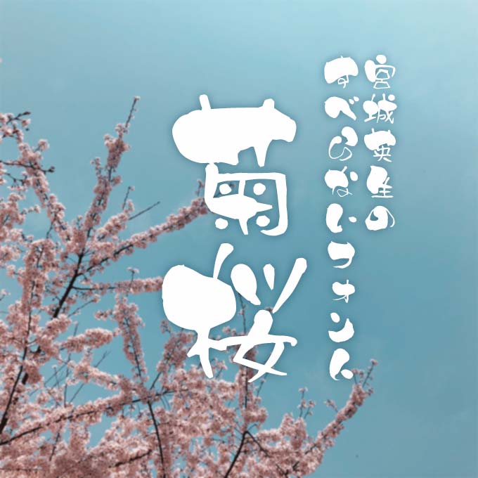 TA菊桜