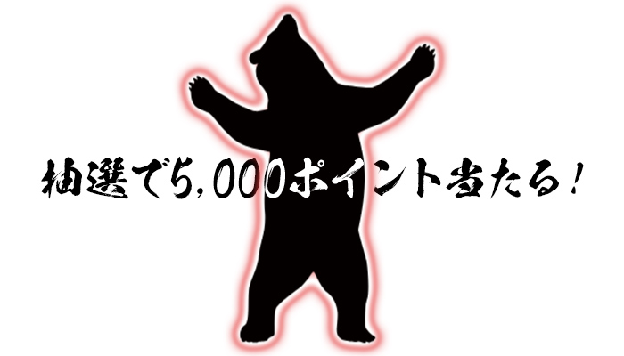 画像付きでSNSに投稿、抽選でデザポケポイントがもらえる!