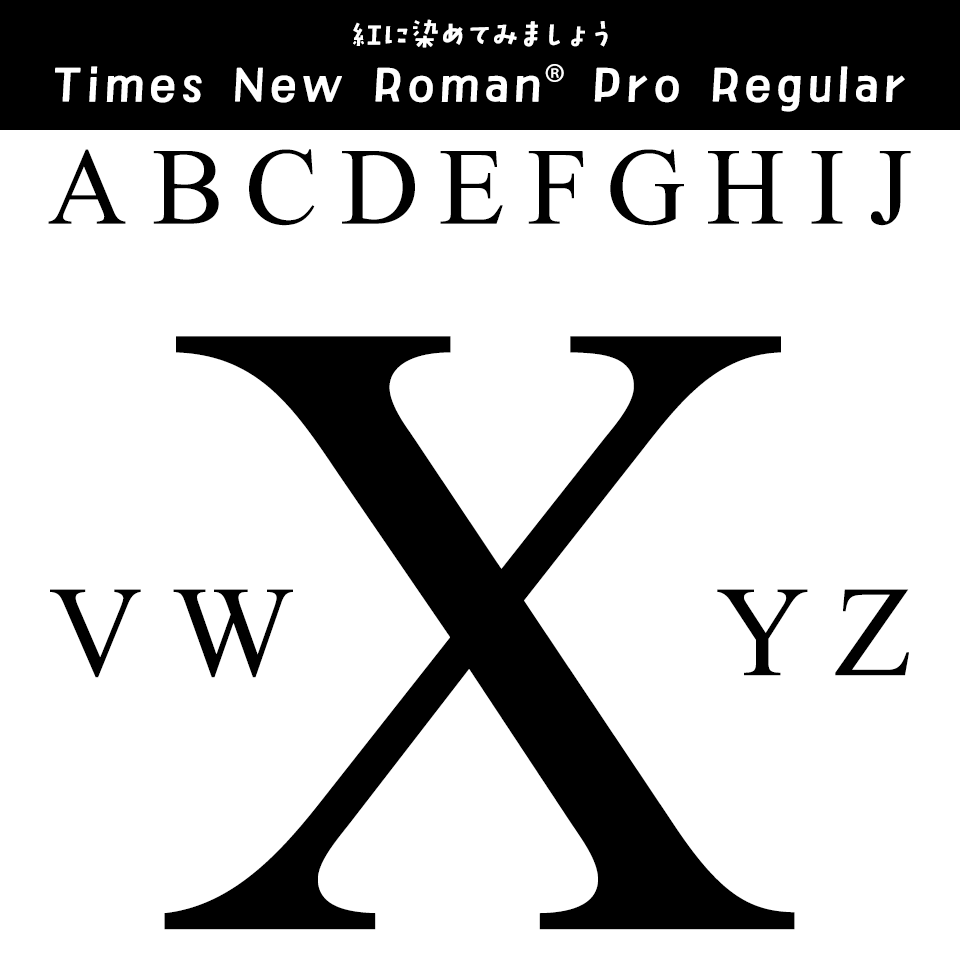「Xがかっこいい」フォント Times New Roman® Pro Regular