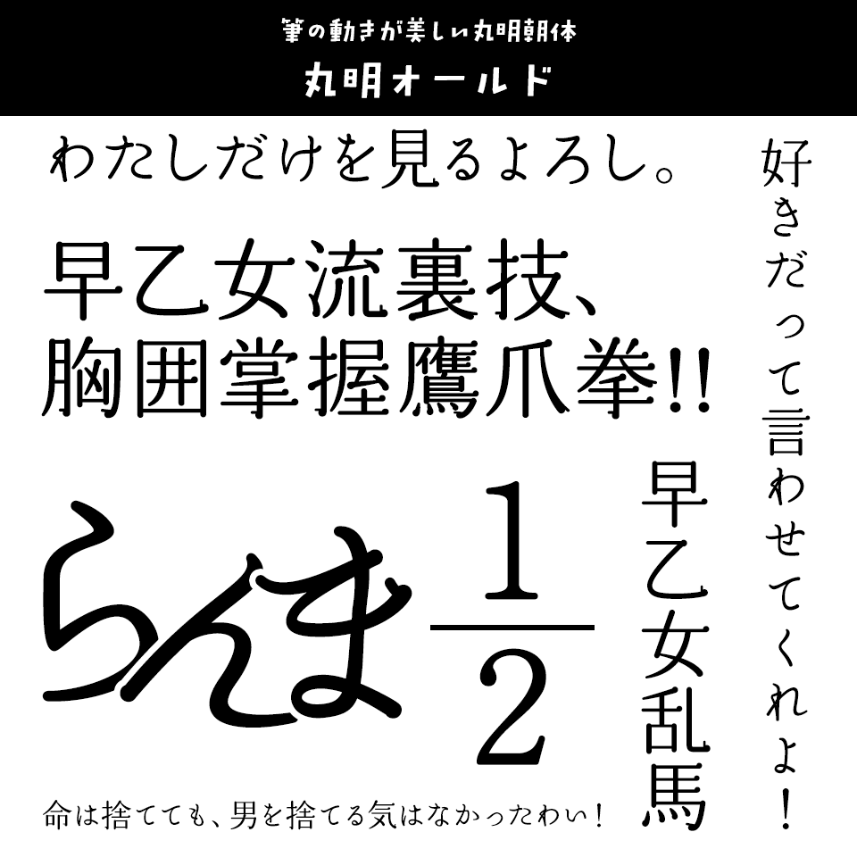 「らんま1/2」に合うフォント 丸明オールド