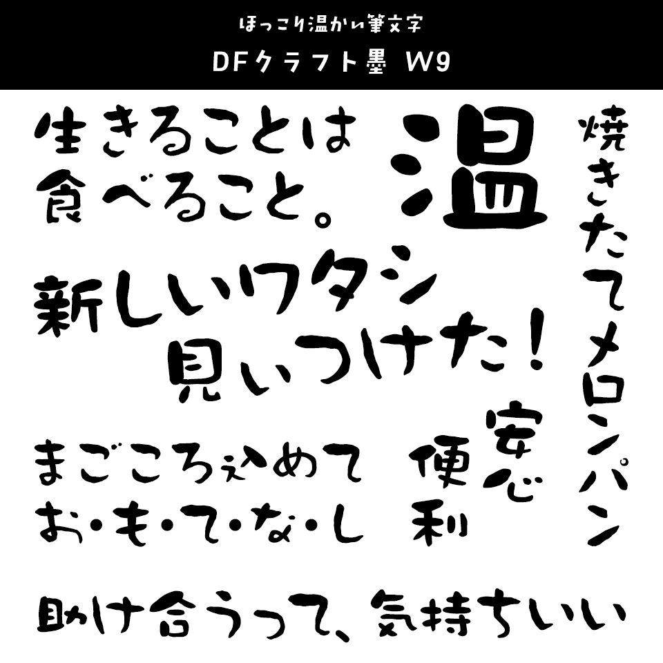 「あたたかみ」のあるフォント DFクラフト墨 W9