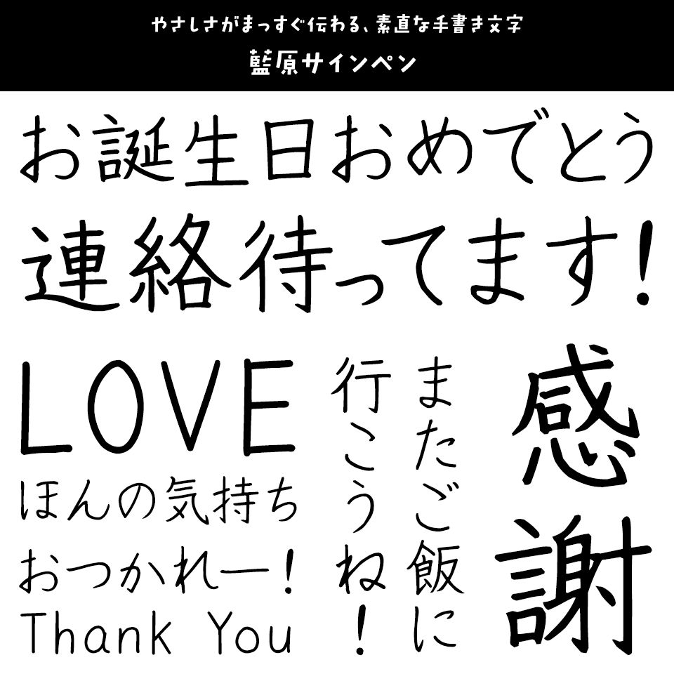 「便箋に添える文字」 藍原サインペン
