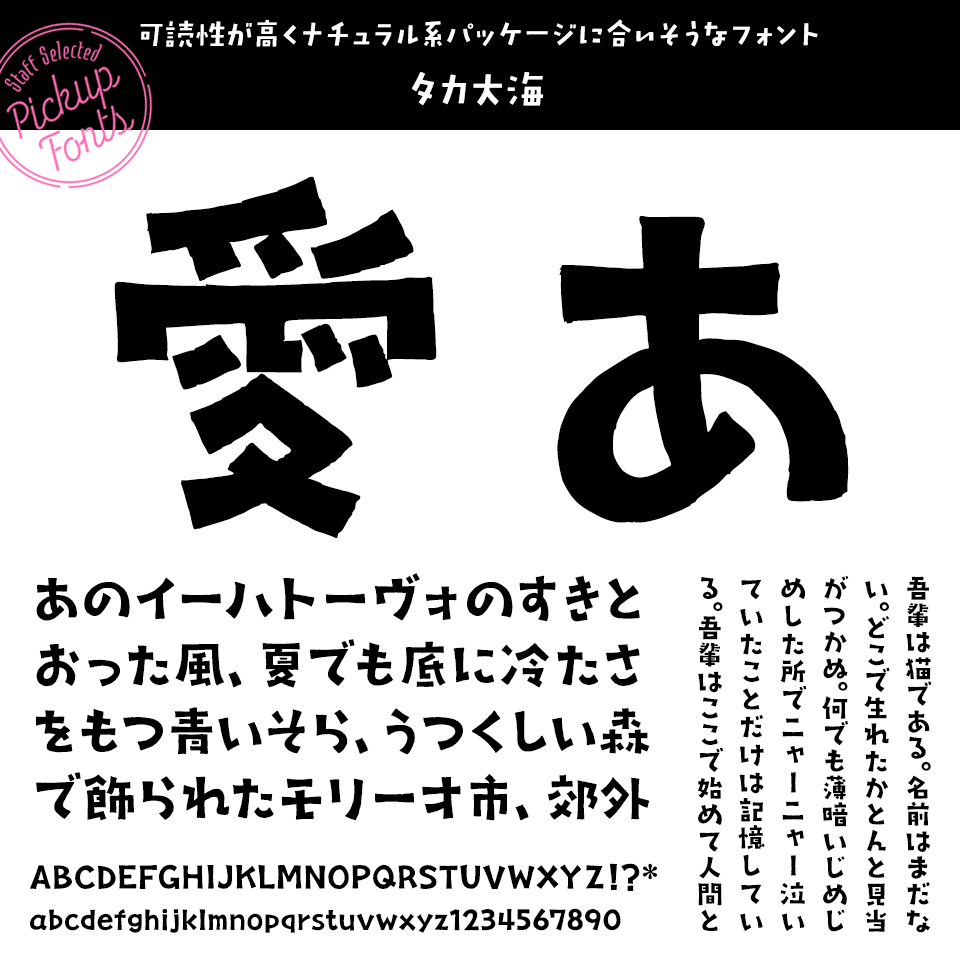 デザポケスタッフの個人的に好きなフォント タカ大海