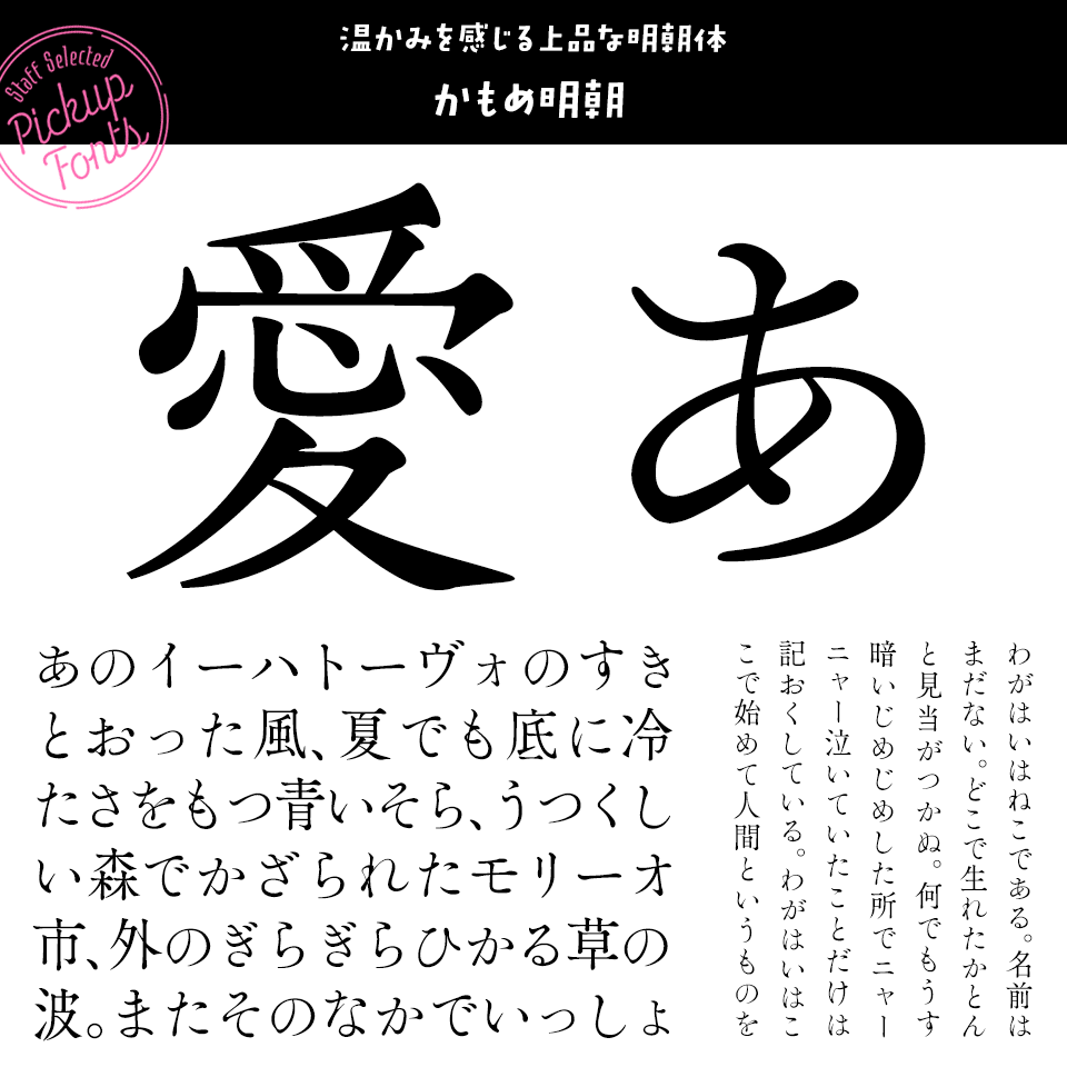 デザポケスタッフの個人的に好きなフォント かもめ明朝