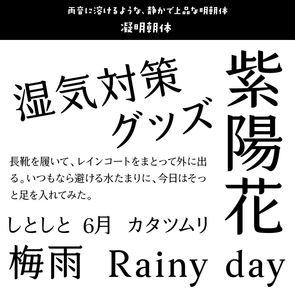 雨の日に合うフォント 凝明朝体