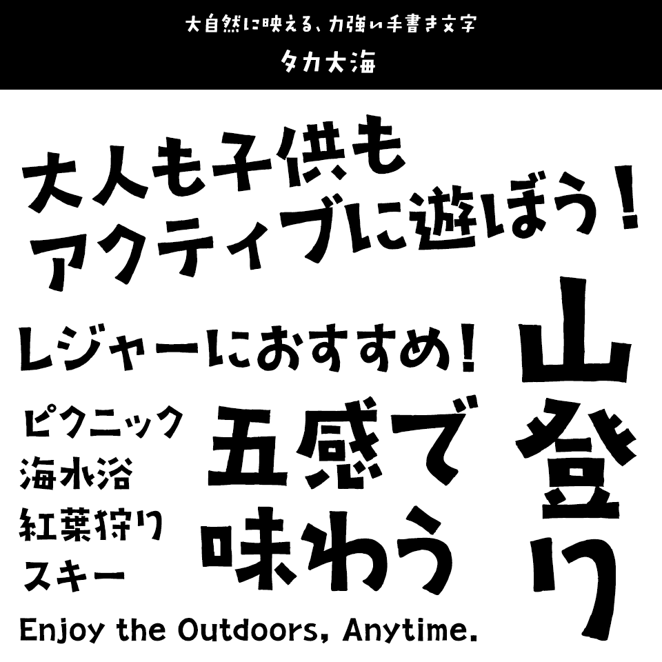 レジャーに合うフォント タカ大海